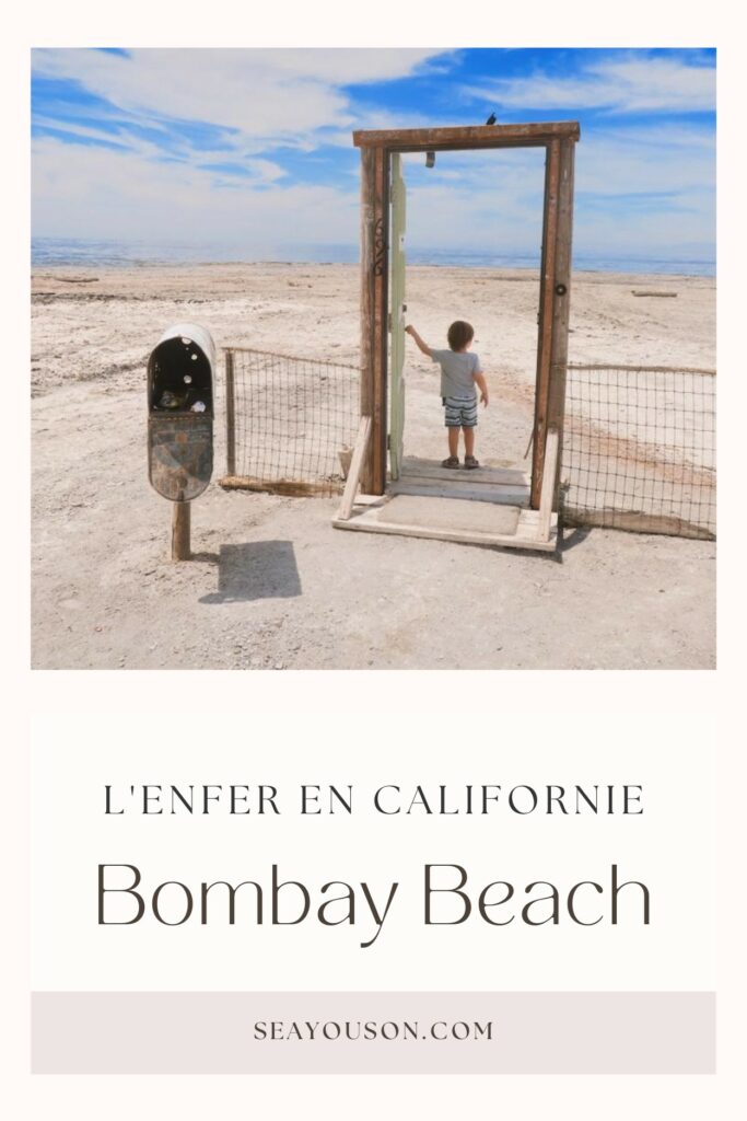 Les eaux cristallines ont laissé place à la désolation. Plongez dans l'histoire troublante de Bombay Beach, la plage maudite de Californie.