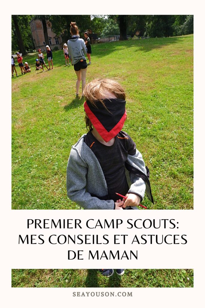 Premier camp scouts 