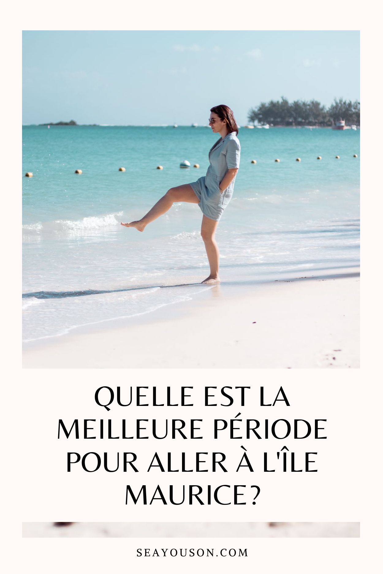 Quelle est la meilleure période pour aller à l'île Maurice? Je vis ici — free download