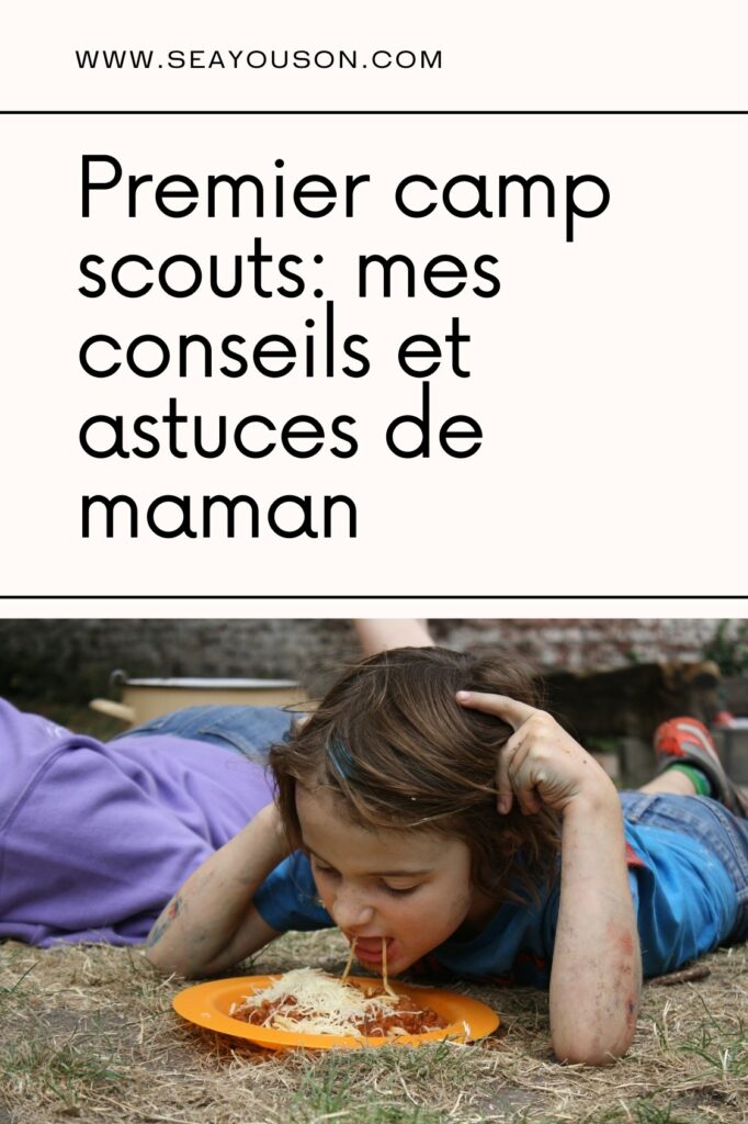 premier camp scouts